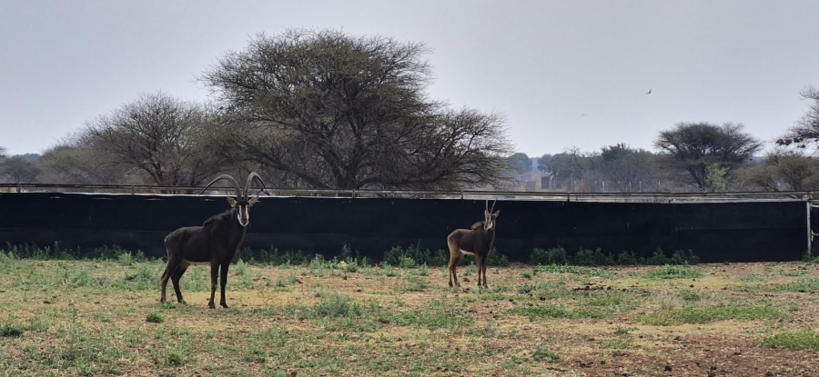 6 Bedroom Property for Sale in Zeerust North West